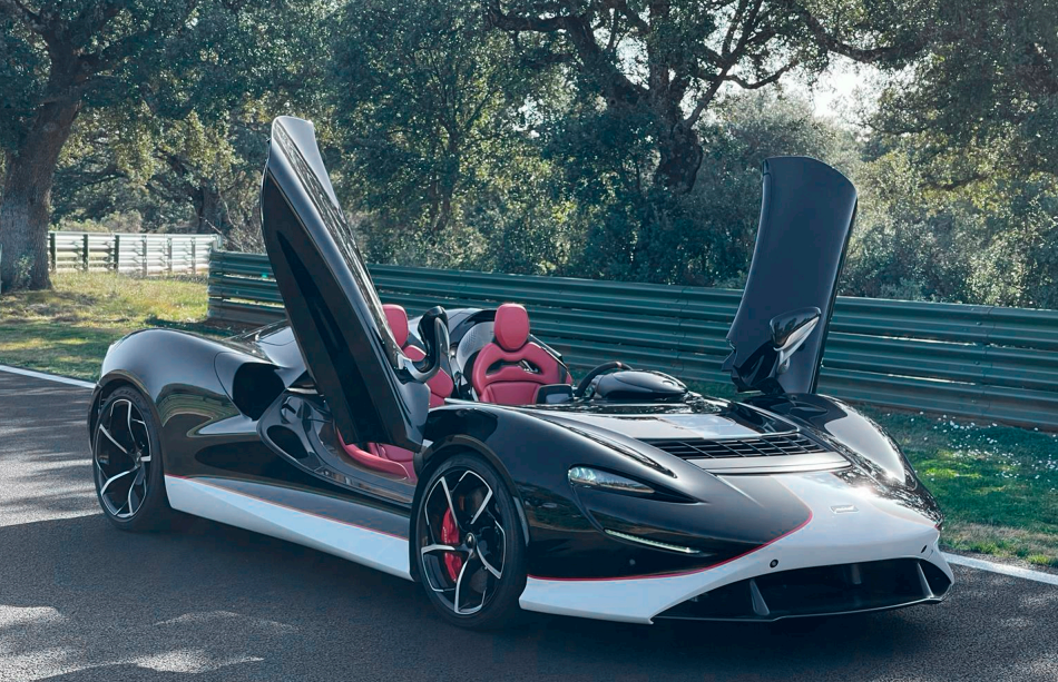Mc LAREN ELVA